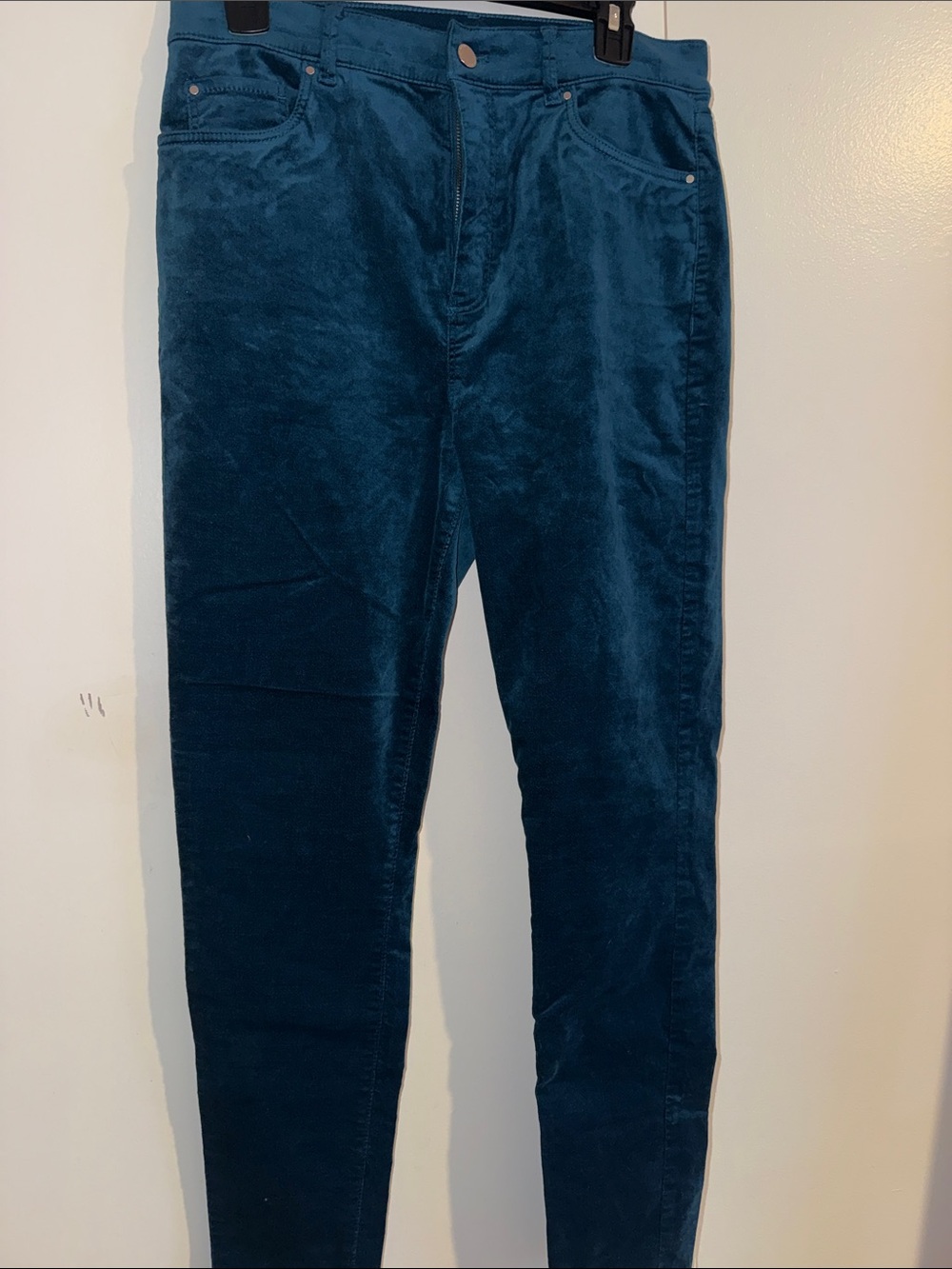 Ann Taylor Women's Straight Leg Jeans in Deep Teal
